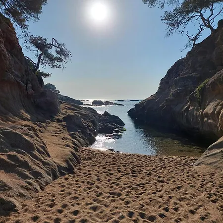 Bravaholidays-110-kristel-6-33 Appartement *