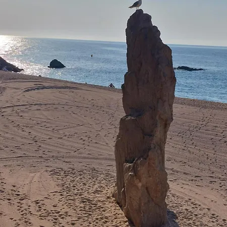 Bravaholidays-110-kristel-6-33 Appartement Blanes